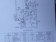 Obor, Colentina, Teiul Doamnei